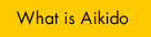 What is Aikido