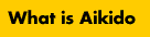 What is Aikido
